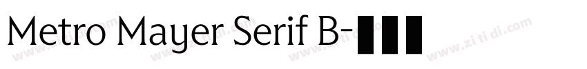 Metro Mayer Serif B字体转换